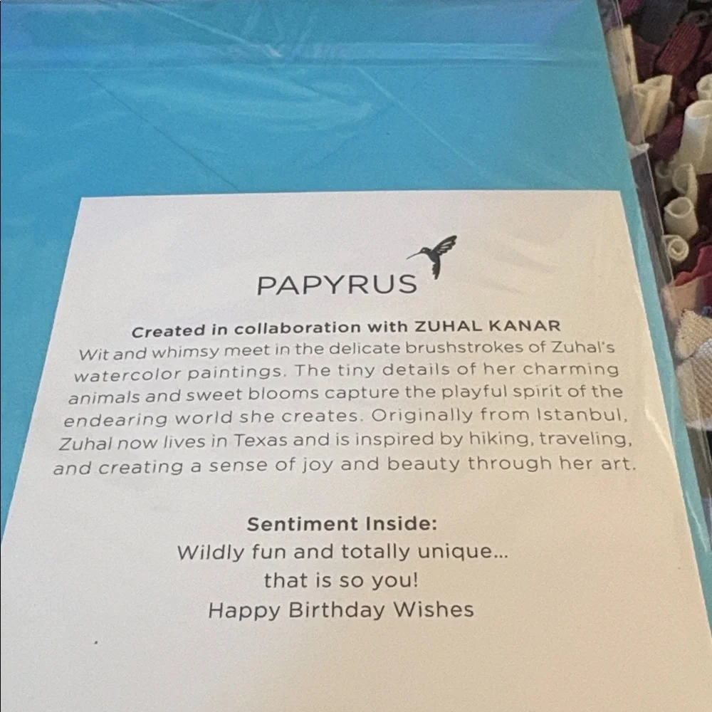 🆕Papyrus Zebra Birthday Greeting Card